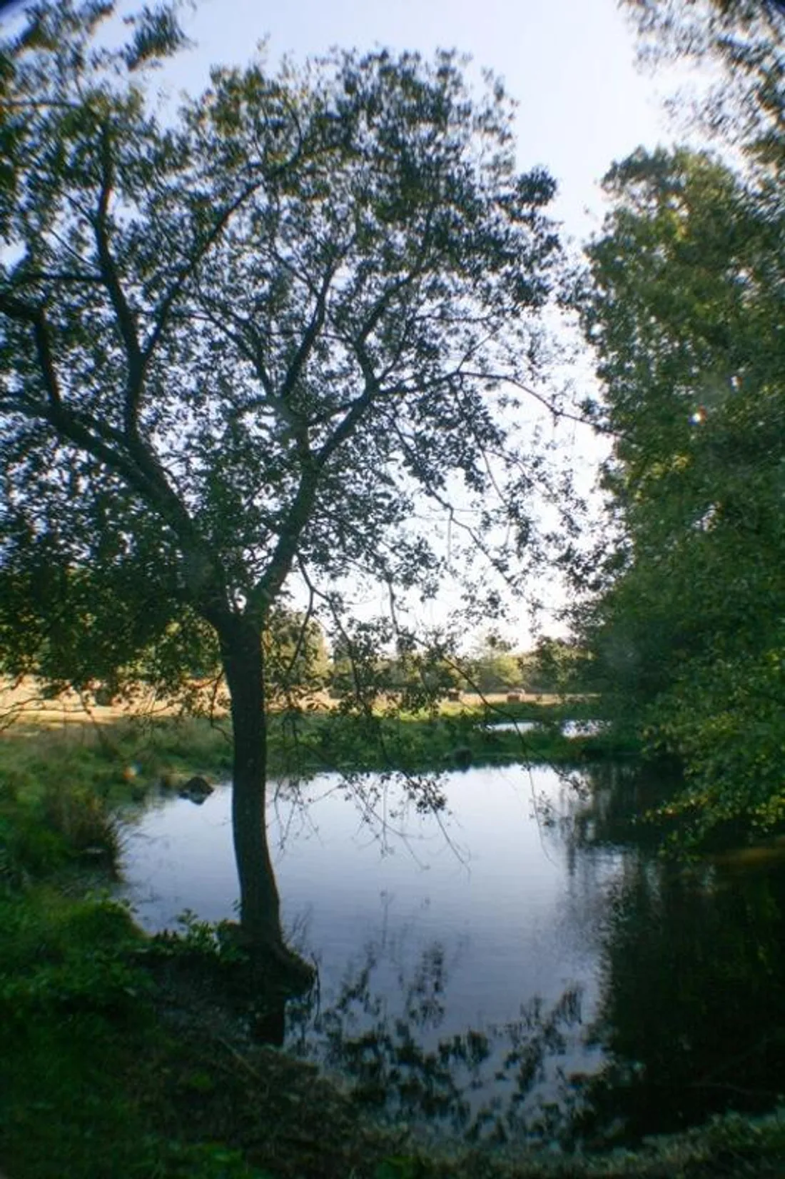 Sortie nature